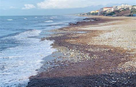 San Vincenzo Posidonia A Nord Del Porto Pennainmovimento