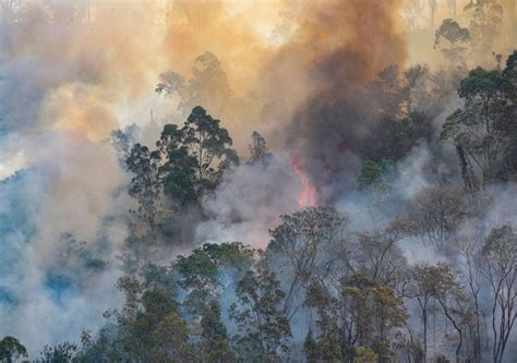 Forecasting Wildfires How Meteorologists Are Fighting Forest Fires In