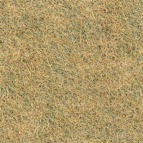 dry grass seamless texture