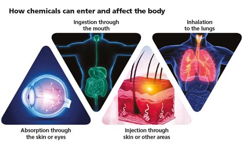 Back To Basics Chemical Hazards Iosh Magazine