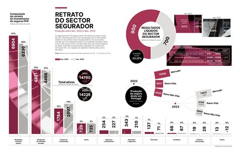 O Retrato Do Sector Segurador