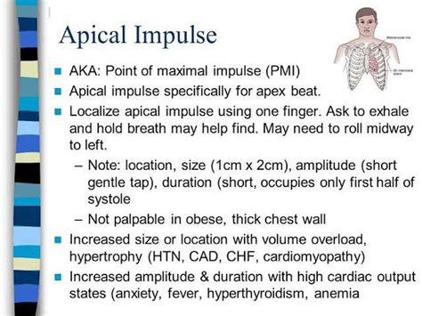 Apical Pulse