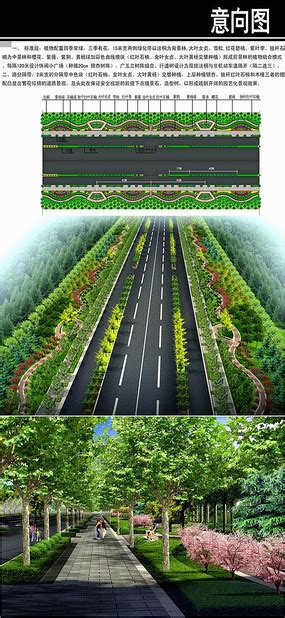 道路标准段绿化平面图图片植物编号9132625红动中国