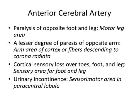 Ppt Stroke Syndromes Powerpoint Presentation Free Download Id 3093977