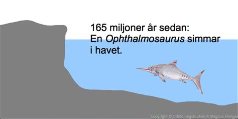 Bevis för evolutionen Magnus Ehingers undervisning