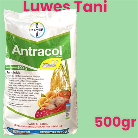 Antracol Gram Wp Fungisida Propineb Bayer Lazada Indonesia