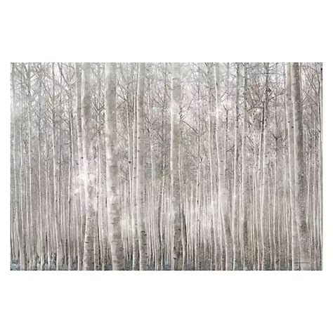 Birch Trees Canvas Art Print | Kirklands Home