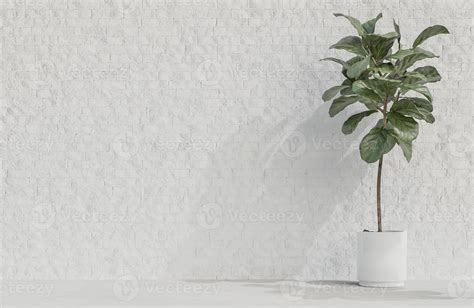 Plant On White Brick Wall Background Minimalist Style With Text Space