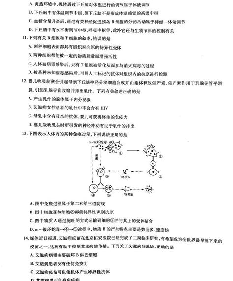 2020河南省天一大联考高二上学期阶段性测试（二）生物试题pdf版含答案 教习网 试卷下载