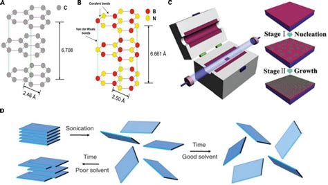 Frontiers Interactions Between 2D Materials And Living Matter A