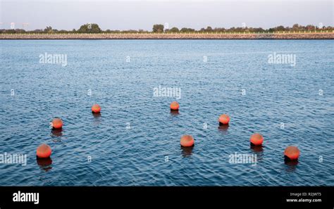 Bunch of Globe Marker Buoys floating near Yas Island Stock Photo - Alamy