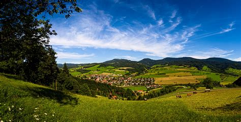 Naturpark Schwarzwald Mitte Nord Nationale Naturlandschaften