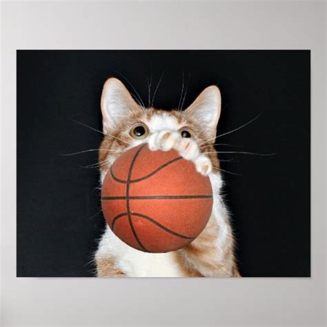 Cat basketball print | Zazzle