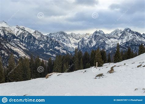 Vue Des Montagnes De Tatra De Rusinowa Polana Vue Hivernale Des Hautes