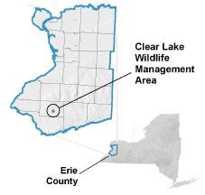 Clear Lake Wildlife Management Area - NYSDEC