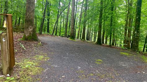 Site 6 Jacobs Creek Campground Tn