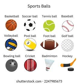 Different Type Sport Balls Stock Illustration Shutterstock