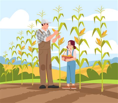 6,919 Corn Field Illustrations - Free in SVG, PNG, EPS - IconScout