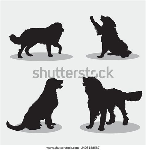 Bernese Mountain Dog Black Silhouette Isolated Stock Vector Royalty