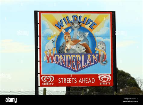 Wildlife Wonderland in Bass Victoria Australia Stock Photo - Alamy