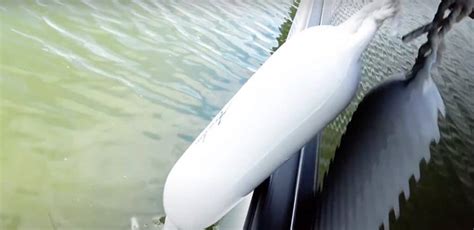 Best Pontoon Fenders And Bumpers Pontoon Boat Protection Pontooners