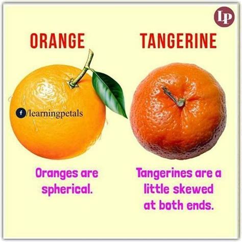 Tangerine vs mandarin - postslopez