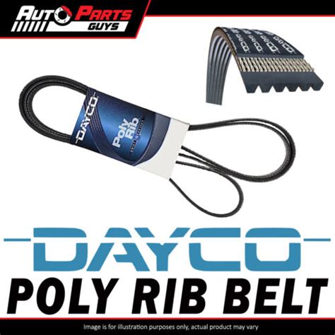 Dayco Multi V Ribbed Serpentine Drive Belt 6pk1175 Ebay