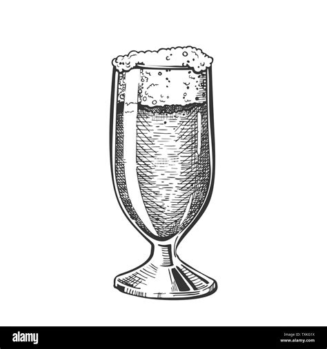 Hand Drawn Classical Glass With Foam Beer Vector Stock Vector Image And Art Alamy