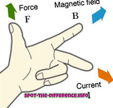 Diff Rence Entre La R Gle De La Main Gauche Et La R Gle De La Main Droite