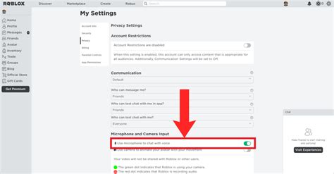 How To Get Voice Chat in Roblox: Step-by-Step Pictures