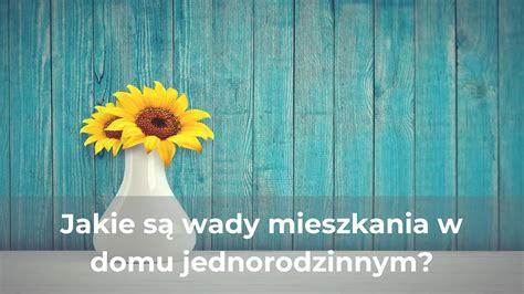 Jakie S Wady Mieszkania W Domu Jednorodzinnym Cegielniak Armelita