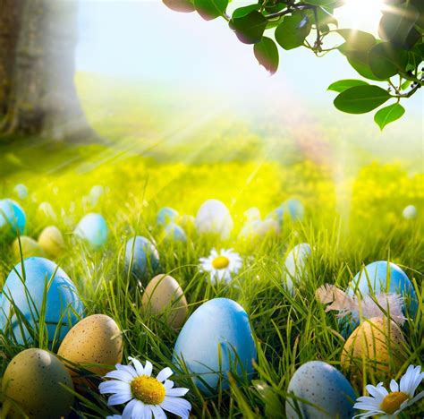 Pastel Easter Egg Wallpapers Top Free Pastel Easter Egg Backgrounds