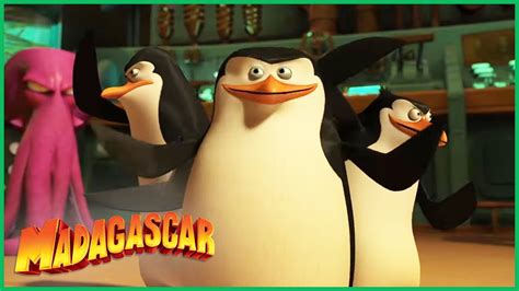 Dreamworks Madagascar Em Portugu S Mexeu Os P Ssaros Errados Os