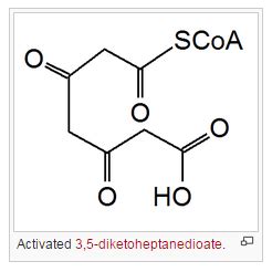 Phloroglucinol - wikidoc