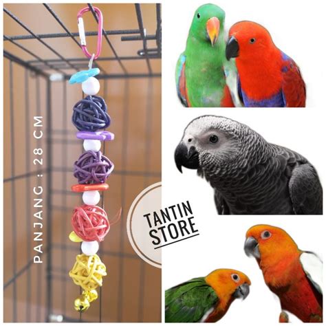 Jual Mainan Gigitan Bola Rotan Warna Warni Kerincing Burung Parrot Dan