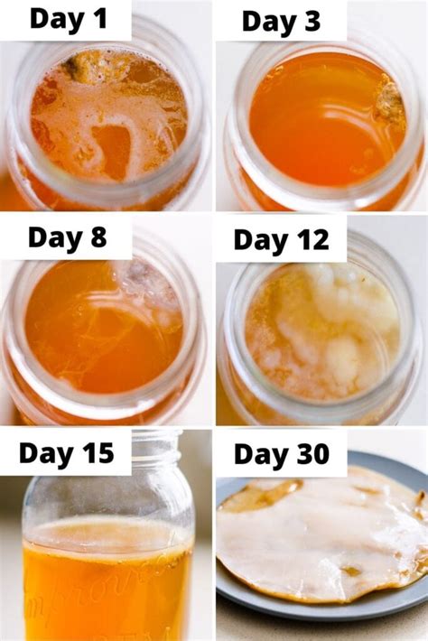 How to Make Kombucha Scoby - iFOODreal.com