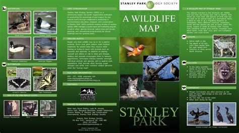 Newly Updated Wildlife Map - Stanley Park Ecology Society (SPES)