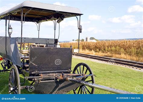 Amish Horse-drawn Buggy Royalty Free Stock Photos - Image: 3593608