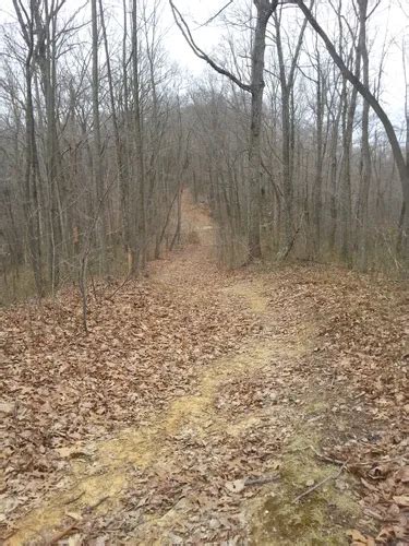 10 Best Hikes and Trails in Kanawha State Forest | AllTrails