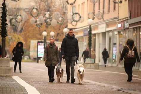 Koji su najbolji kućni ljubimci