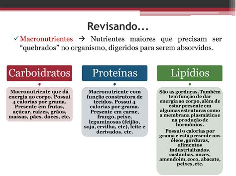 Qual A Diferença Entre Macro E Micronutrientes