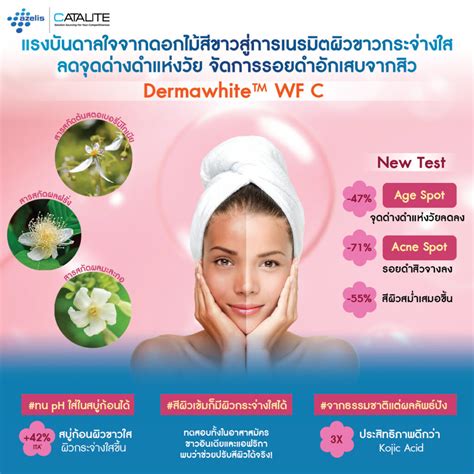 Dermawhite Wf C เนรมิตผิวสว่างกระจ่างใส ลดจุดด่างดำ Catalite Easy Way