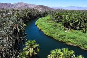 Mulege Mexico: Your Complete Guide to Baja California Hidden Gem (2024)