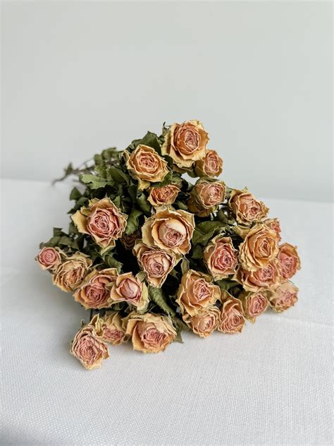 Mini Dried Roses Dried Flowers Dry Floras Flowers For Diy Natural