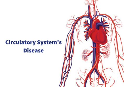 Diseases Of Circulatory System