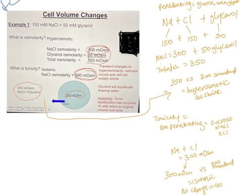 Tonicity Osmolarity Flashcards Quizlet