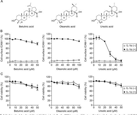 Figure 1 From Betulinic Acid And Oleanolic Acid Natural Pentacyclic