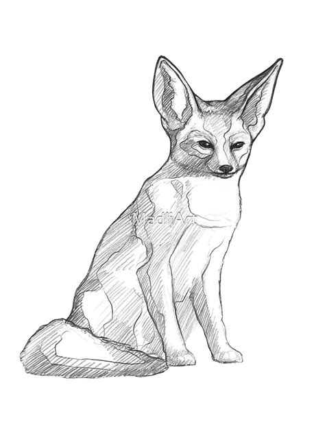 Fennec Fox Art Illustration Monochromatic Pencil Line Sketch