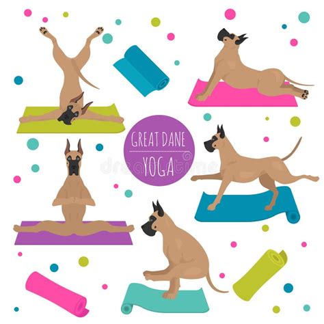 Actitudes Y Ejercicios De Los Perros De La Yoga Clipart De Great Dane