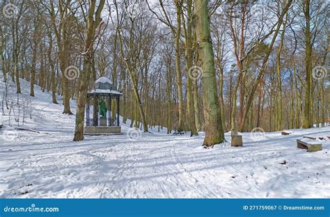 Monument To Gutenberg In Beech Forest In Gdansk With Naked Trees March